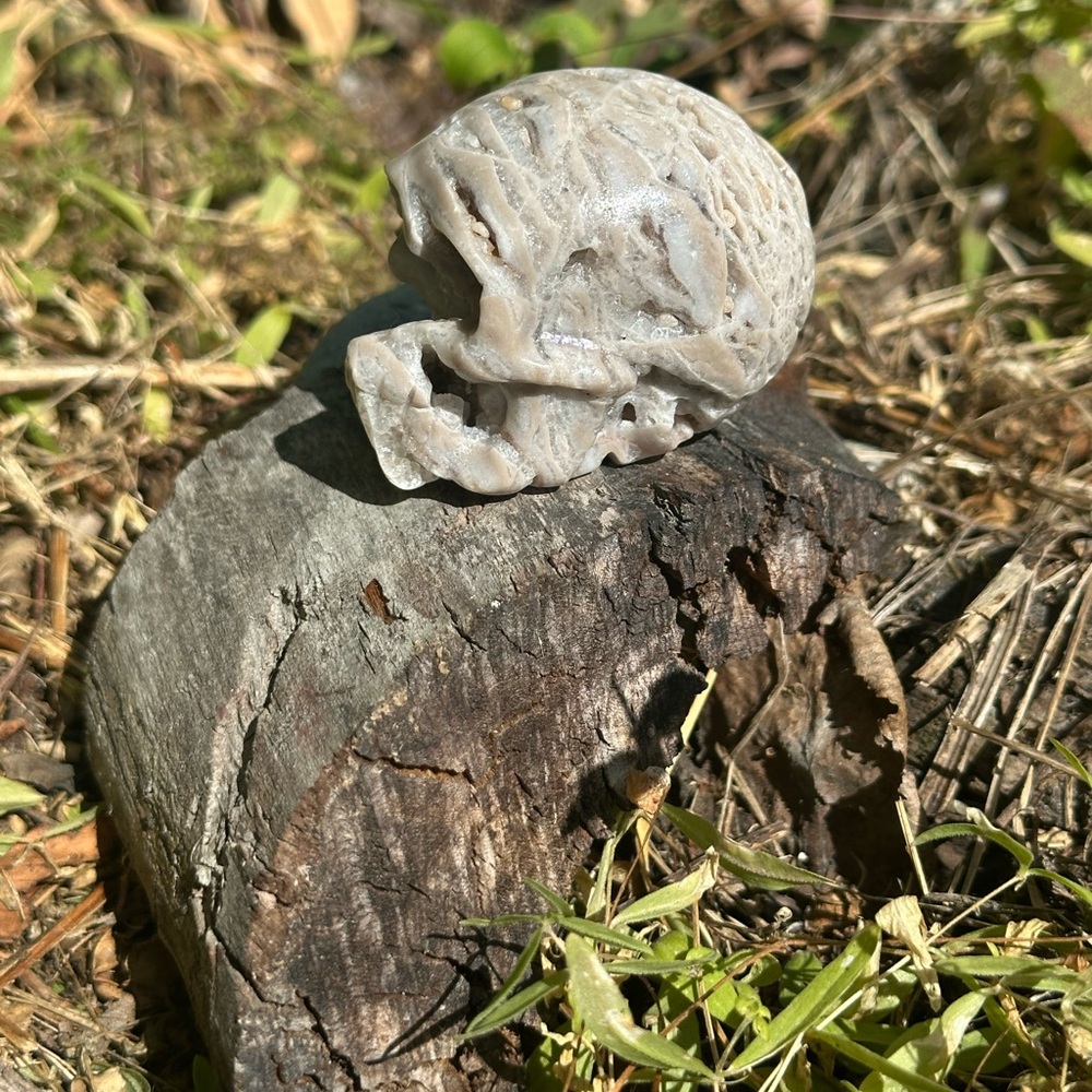 Sphalerite Druzy Skull - Picture 5 of 11